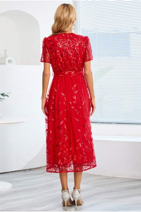 Giorgia Lace Formal Dress in Red