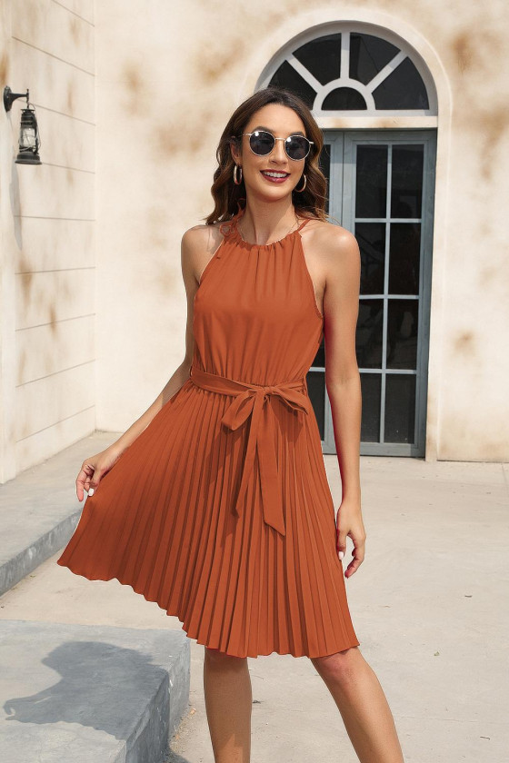 Alexis Tie Neck Pleated Dress
