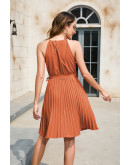 Alexis Tie Neck Pleated Dress