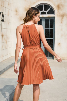 Alexis Tie Neck Pleated Dress