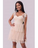 Dreamlight Mesh Mini Dress