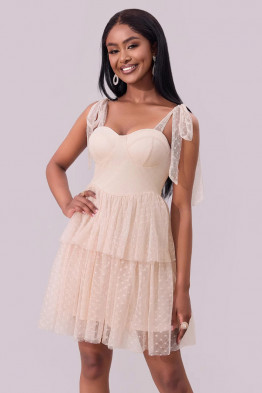 Dreamlight Mesh Mini Dress