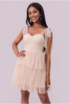 Dreamlight Mesh Mini Dress