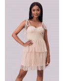 Dreamlight Mesh Mini Dress