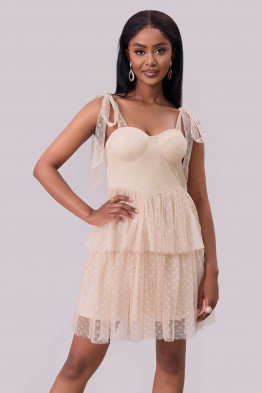 Dreamlight Mesh Mini Dress