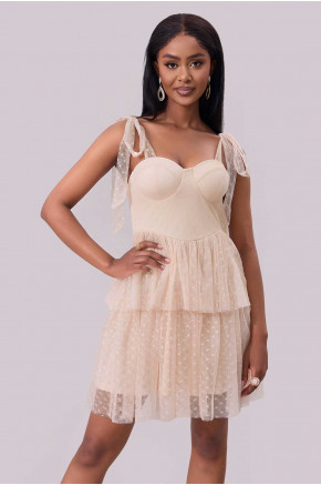 Dreamlight Mesh Mini Dress