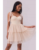 Dreamlight Mesh Mini Dress