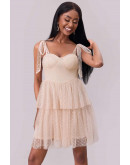 Dreamlight Mesh Mini Dress