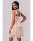 Dreamlight Mesh Mini Dress