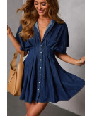 Vittoria Pleated Shirt Mini Dress