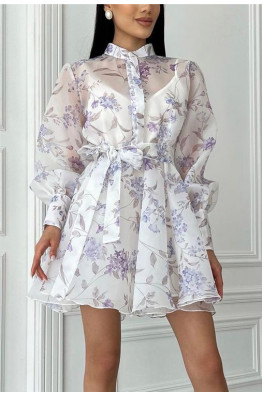 Willow Sheer Tie Dress