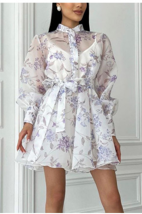 Willow Sheer Tie Dress