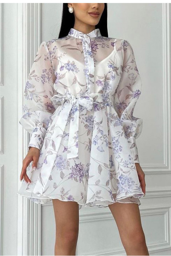 Willow Sheer Tie Dress