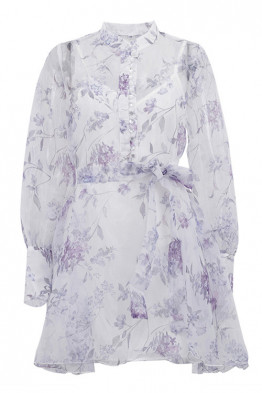 Willow Sheer Tie Dress