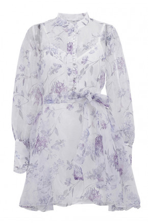 Willow Sheer Tie Dress