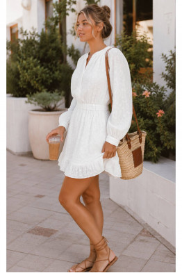 Adara Embroidered Textured Mini Dress