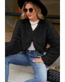 Luxe Faux Fur Cropped Black Jacket