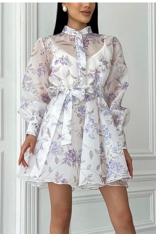 Willow Sheer Tie Dress for a special celebration dinner